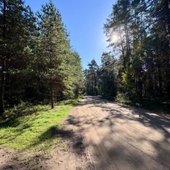 IMG-20250924-WA0011 IMG-20250924-WA0011