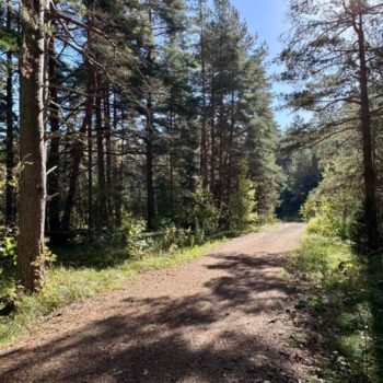 IMG-20250924-WA0030 IMG-20250924-WA0030