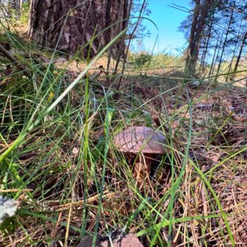 IMG-20250924-WA0031 IMG-20250924-WA0031