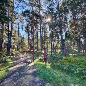 IMG-20250924-WA0039 IMG-20250924-WA0039