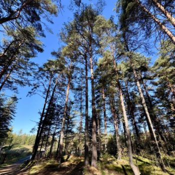 IMG-20250924-WA0042 IMG-20250924-WA0042