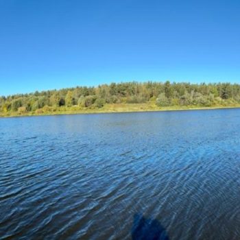 Изображение WhatsApp 2025-09-24 в 13.09.40_252a6e28