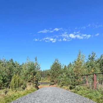 Изображение WhatsApp 2025-09-24 в 15.56.07_28a2aa80